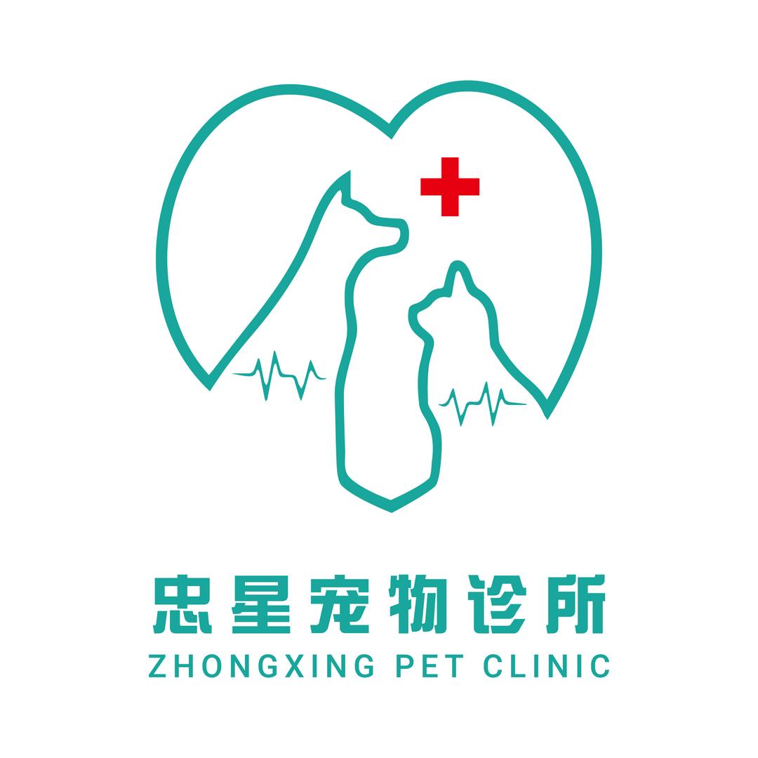 忠星宠物在小镇