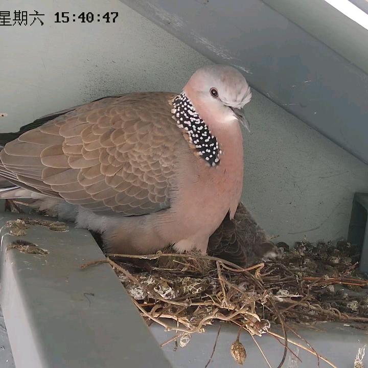 工地记录