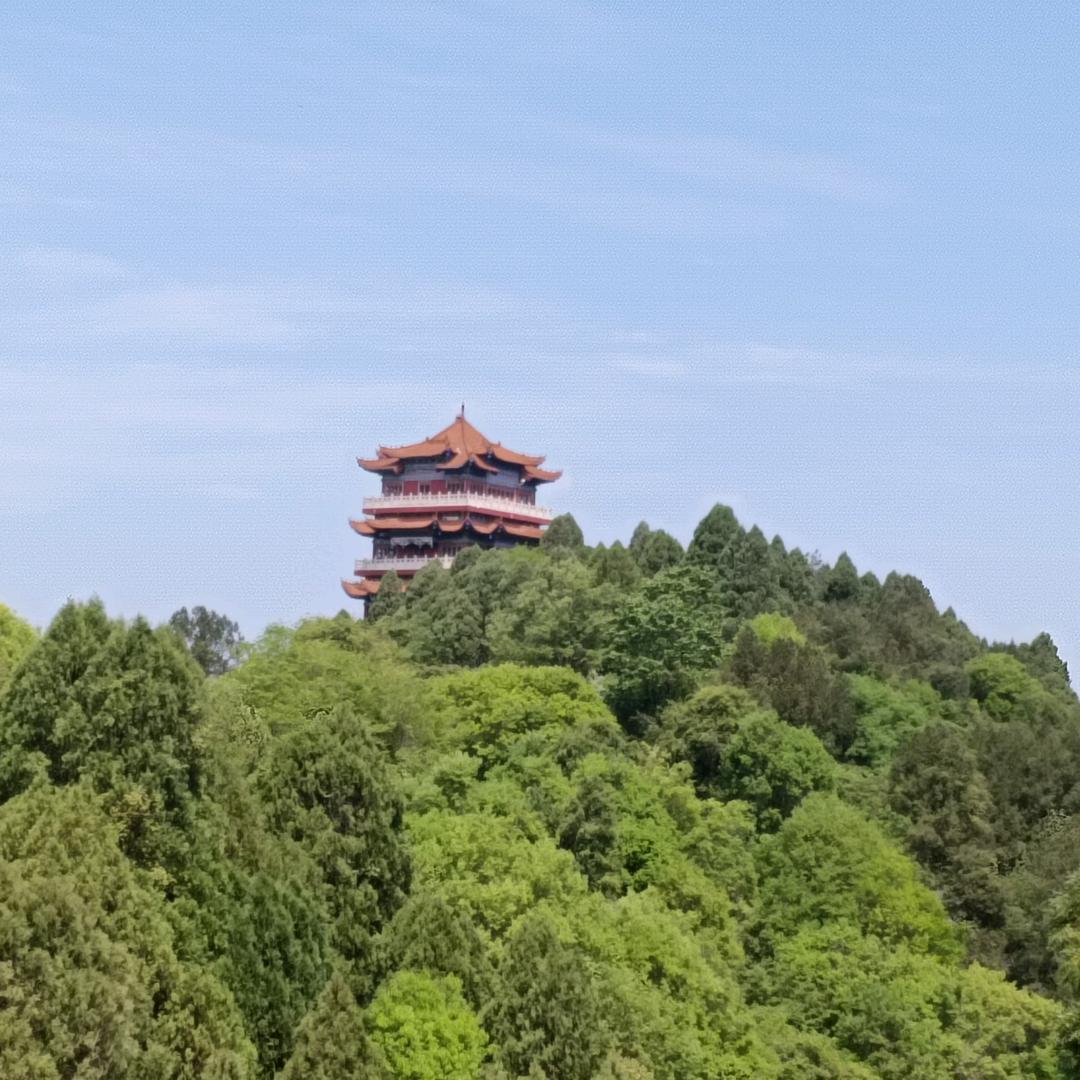 友谊长存