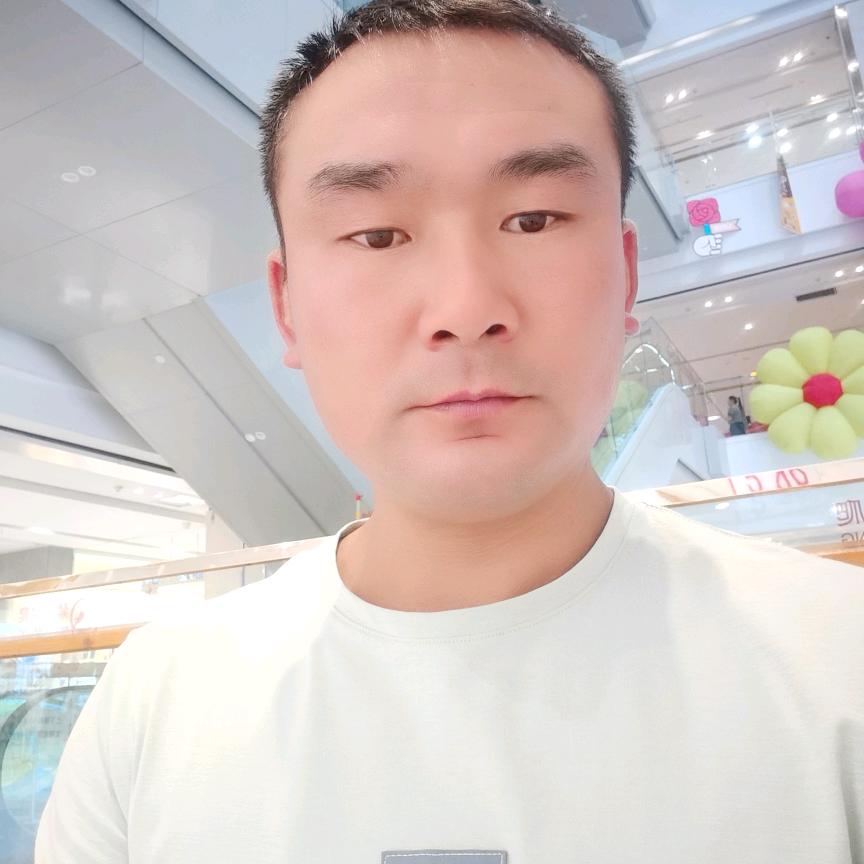 晨 风