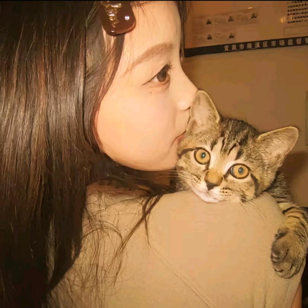 赵赵.
