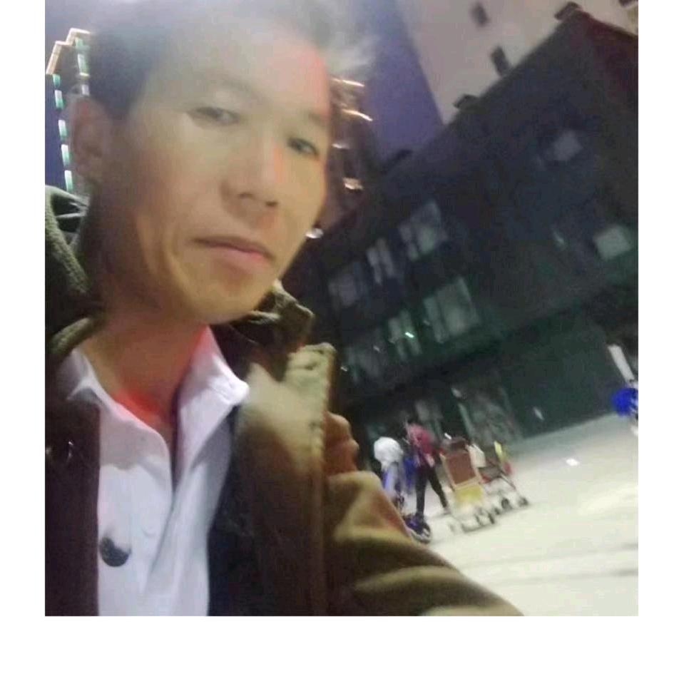 坚韧白杨专业抹灰团队