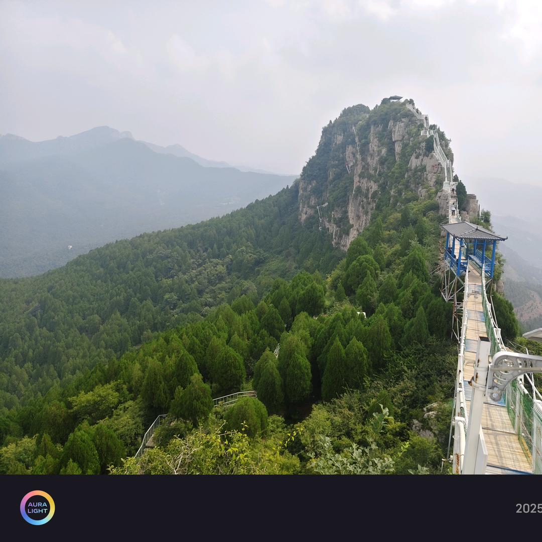 王子阿龙