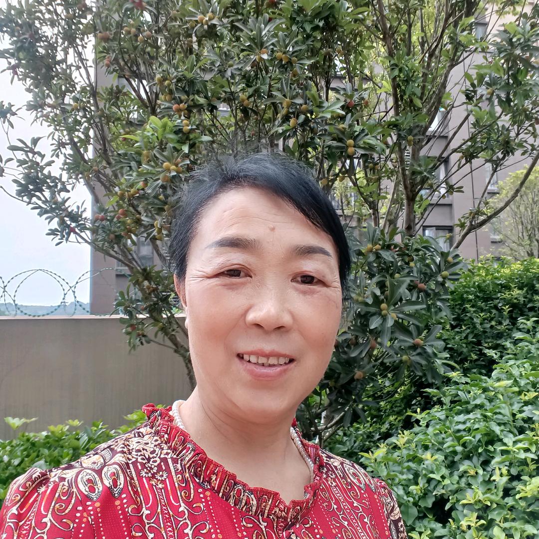 卢凤琴