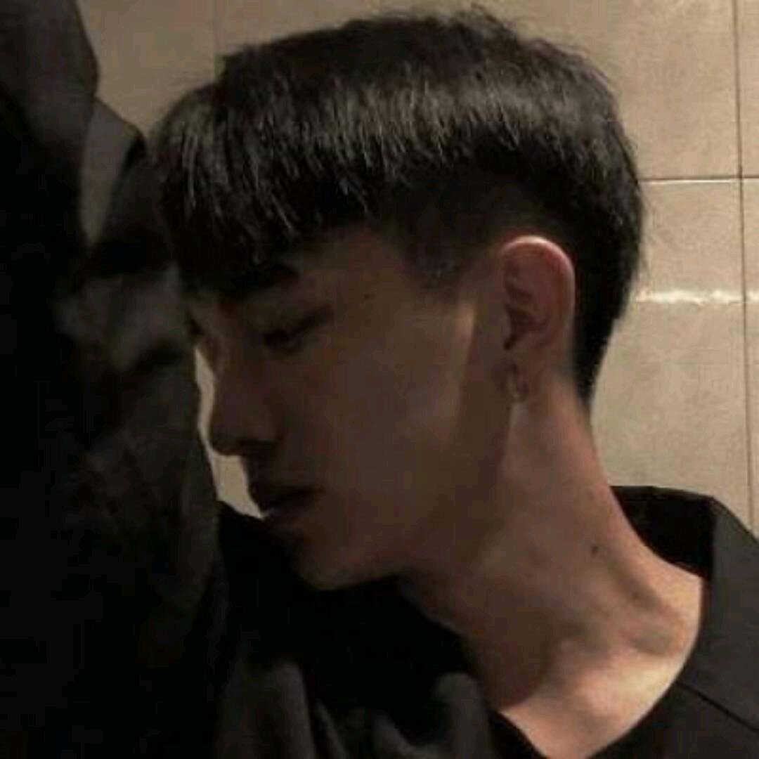 团子会什么