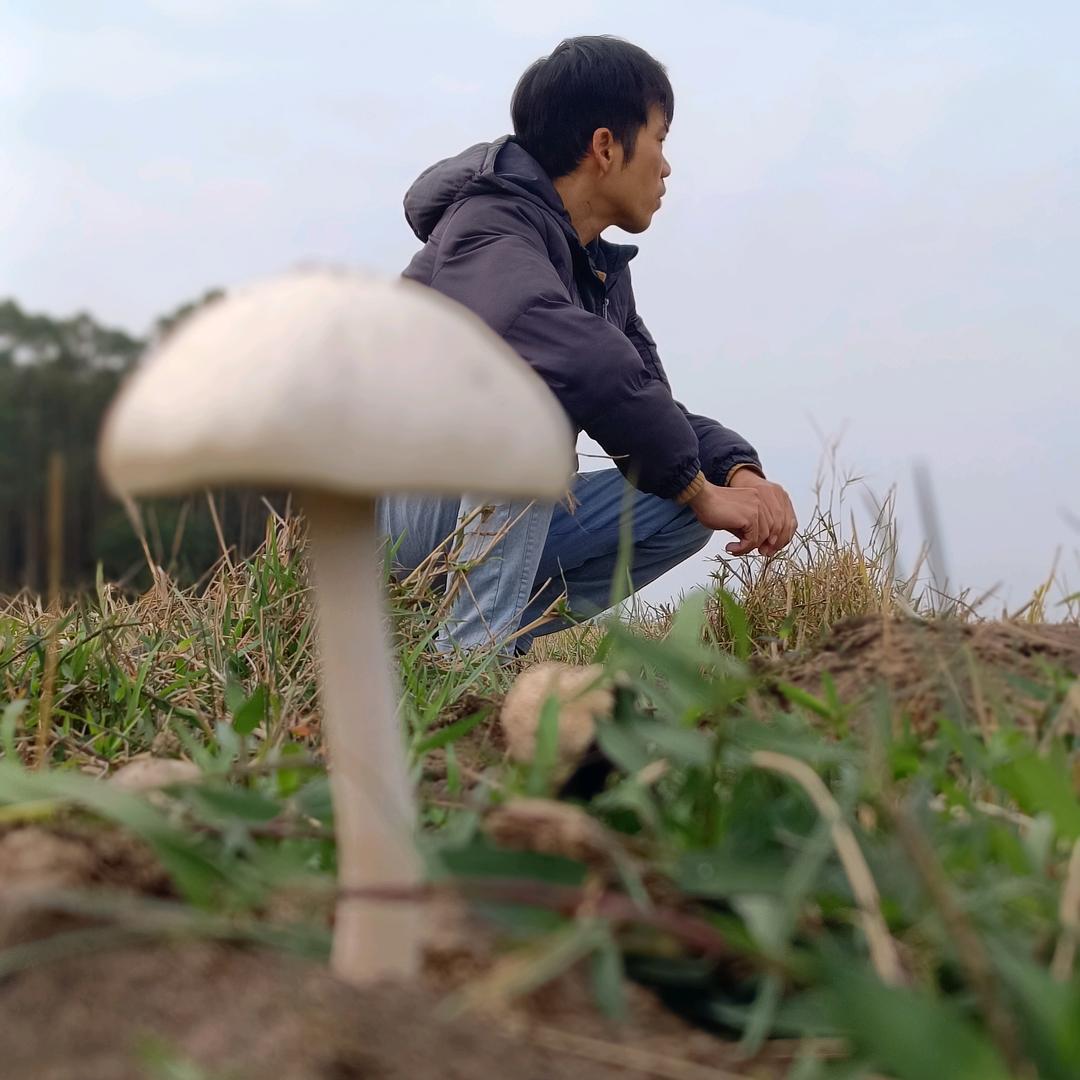 🌈十八子