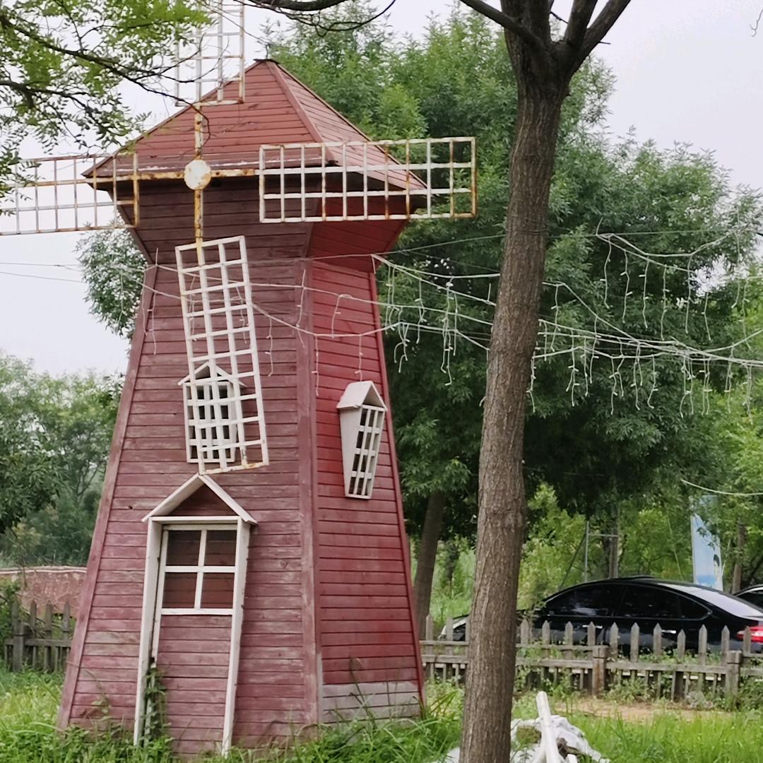 晓晓