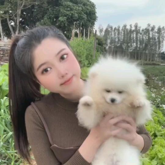 🌷🌷🌷