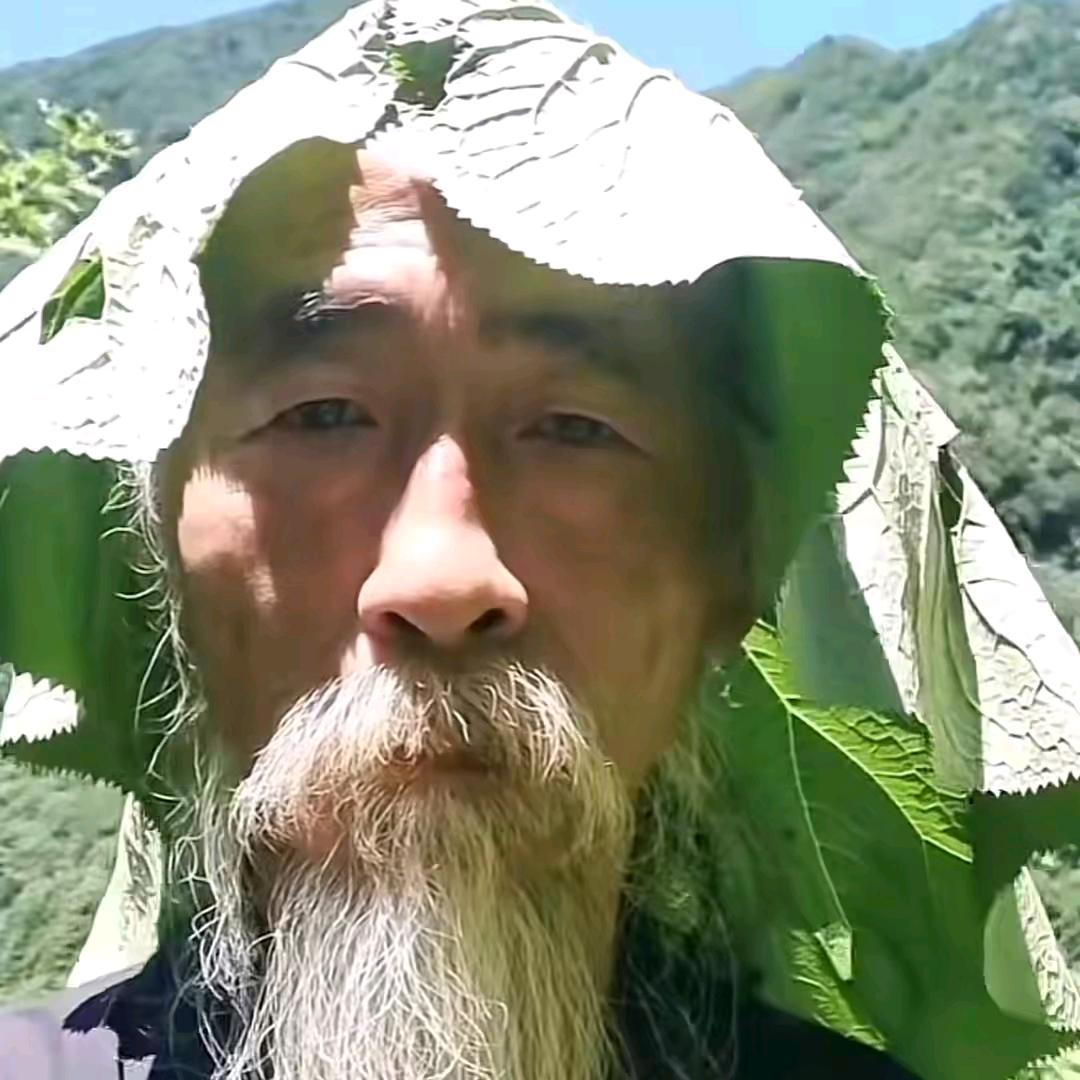 梳中分的琦玉