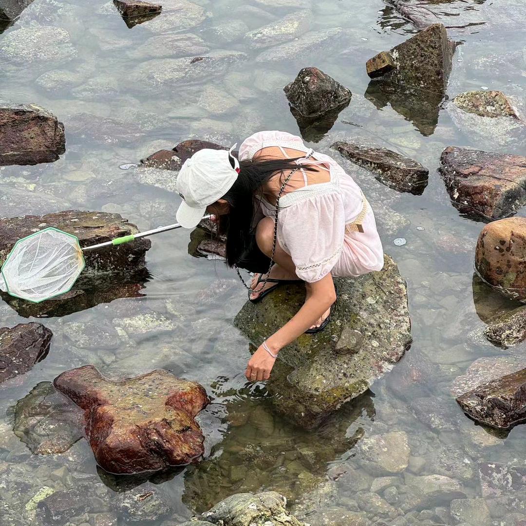 燕子姐姐