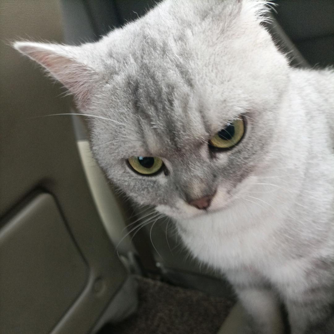 下沙