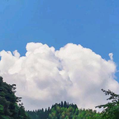 玲玲