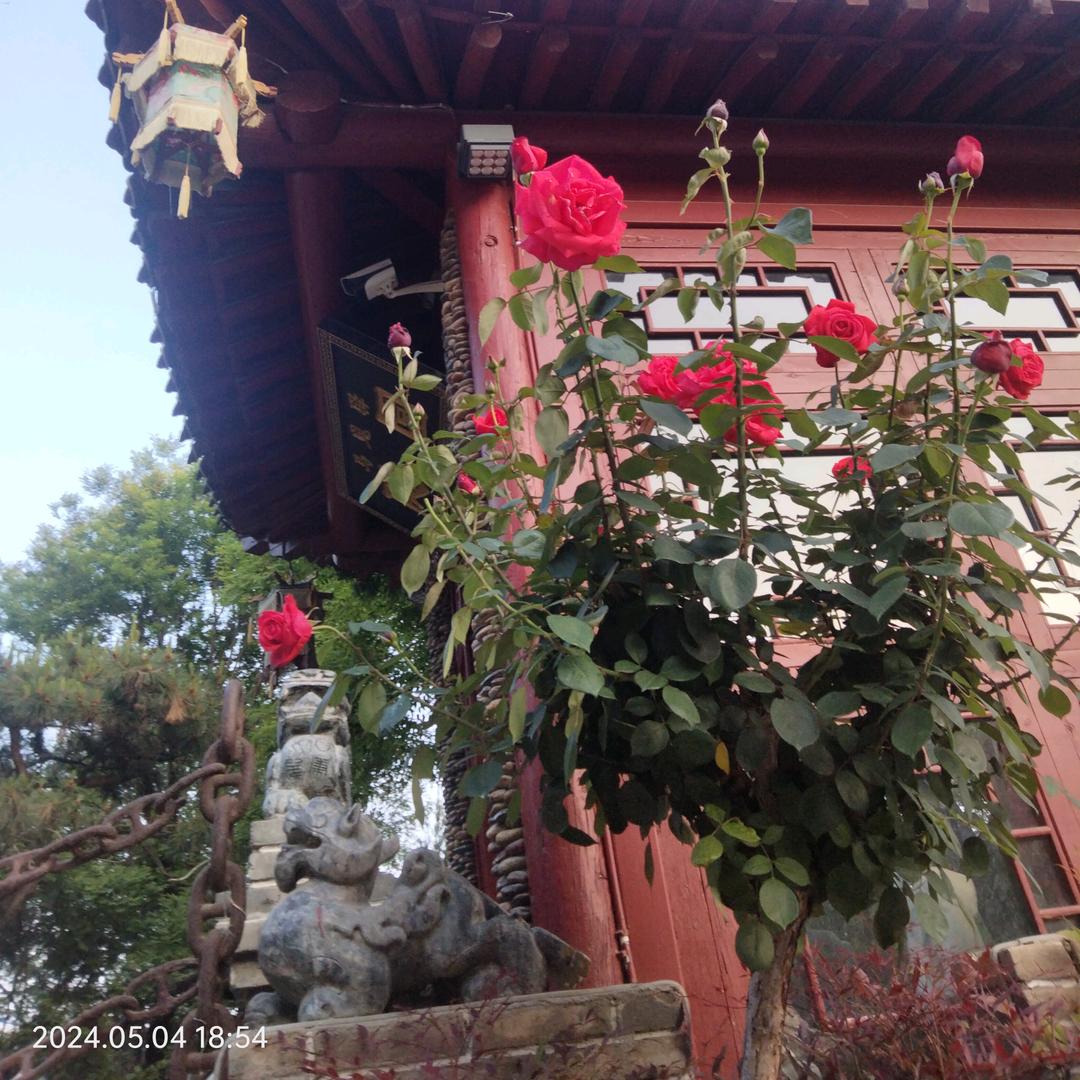 星～(￣▽￣～)~辰