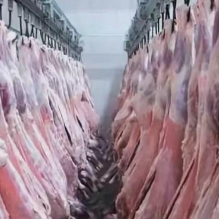 安尼娃尔（香港）牛羊肉批发