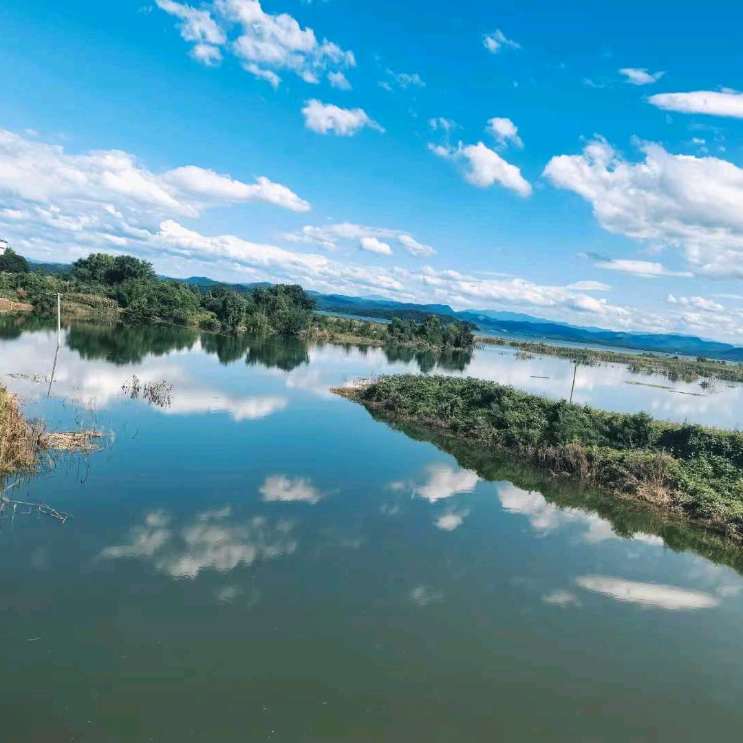 口📍口📍木📍公