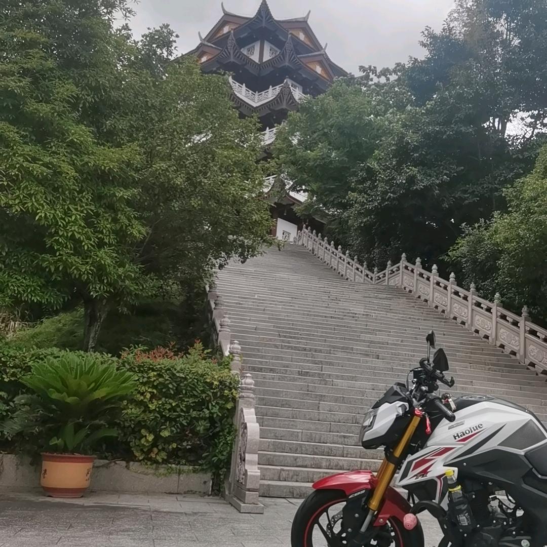 牛牛牛牛老牛