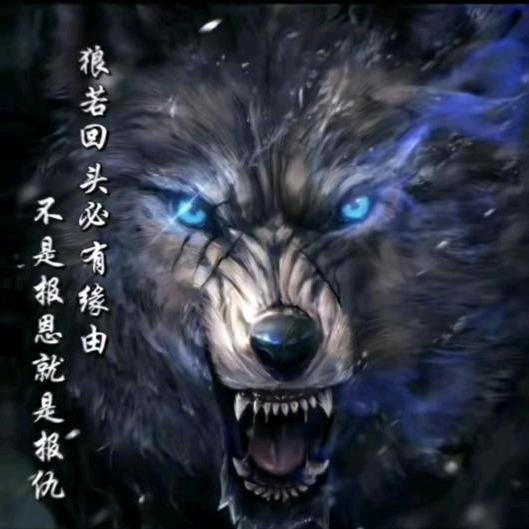 皓月星辰314