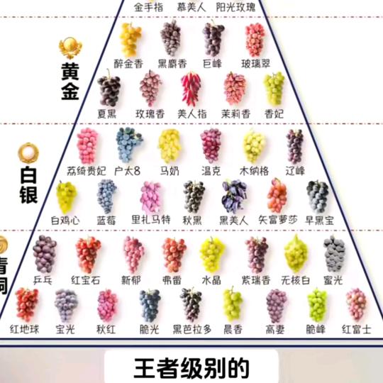 小云农副产品水果直销