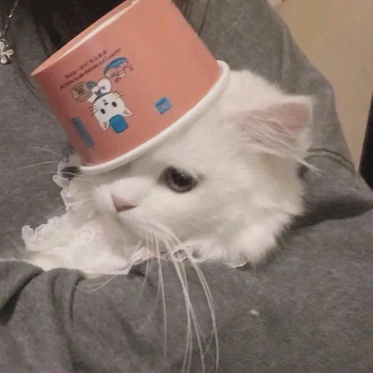 ⭐⭐