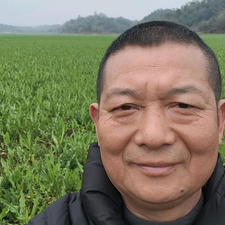 高山迷雾