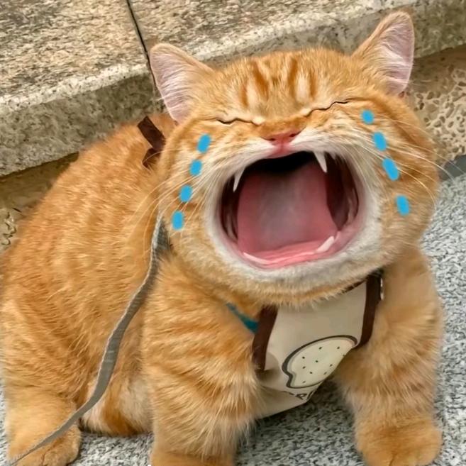 愚梦丶