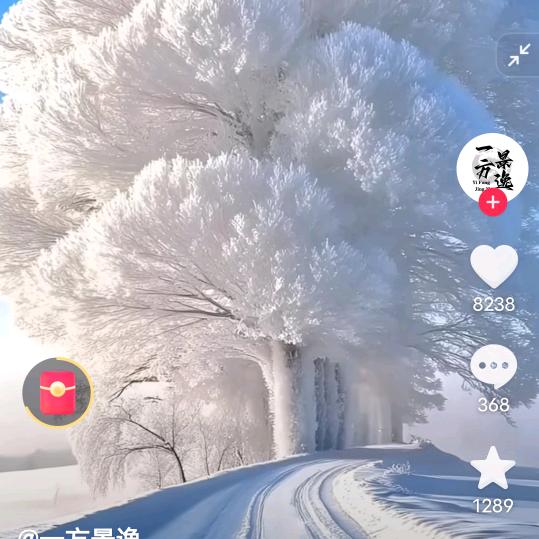 雨随风