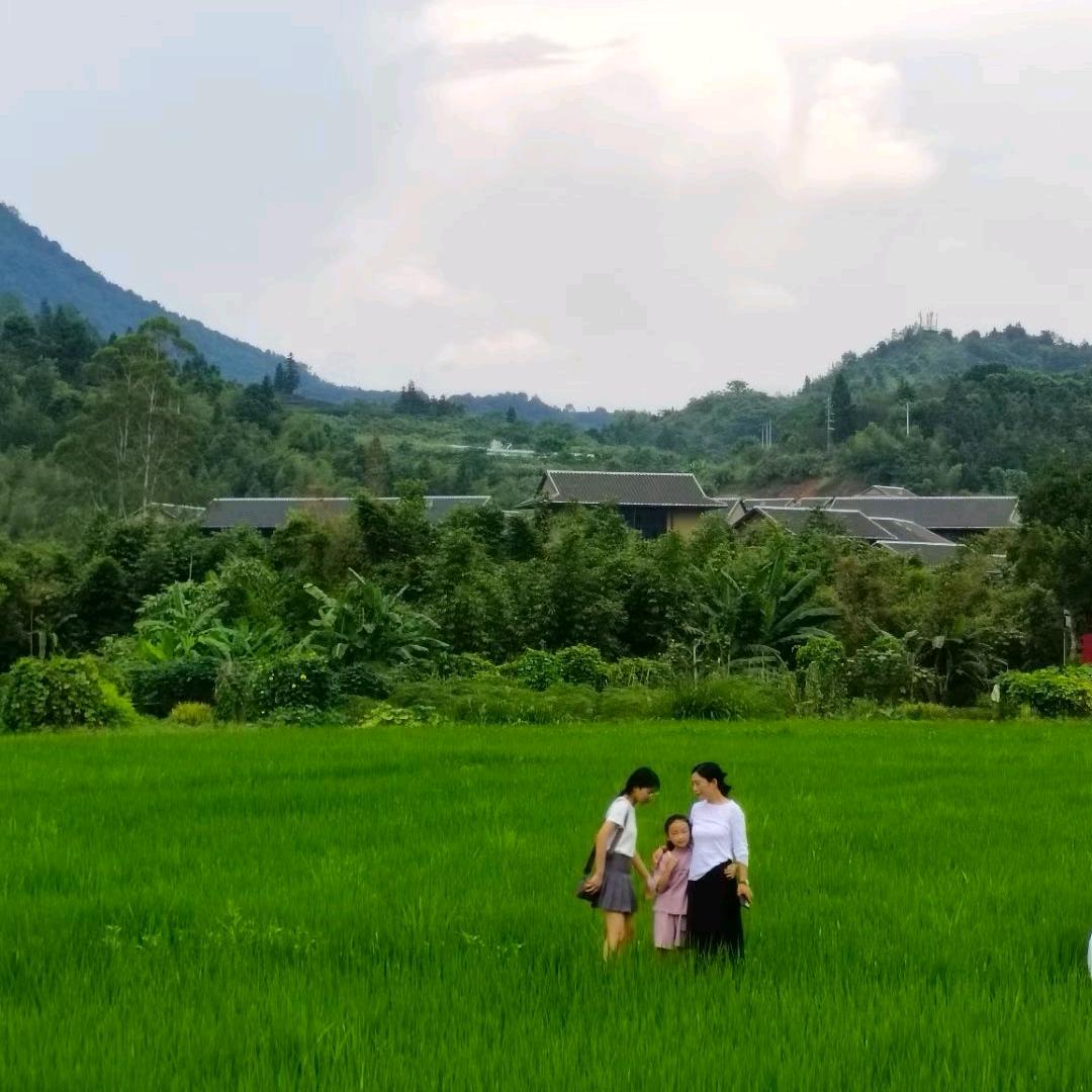 @梵心
