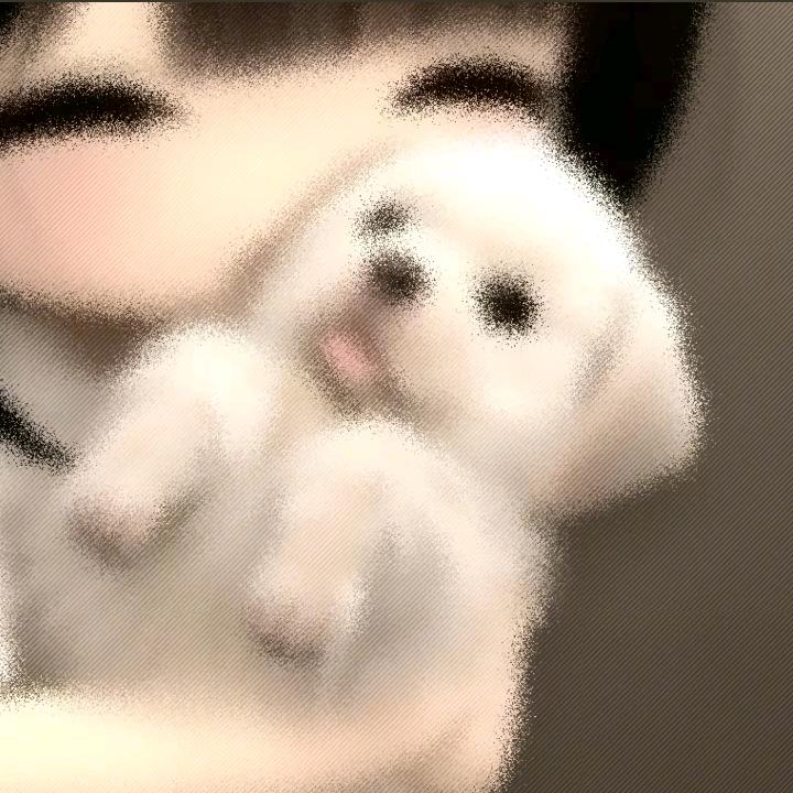 香柒小鱼干