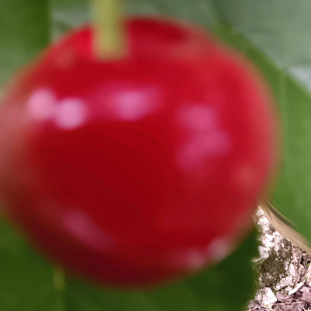 318二郎山康巴一村