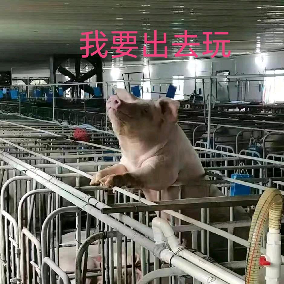 天长地久
