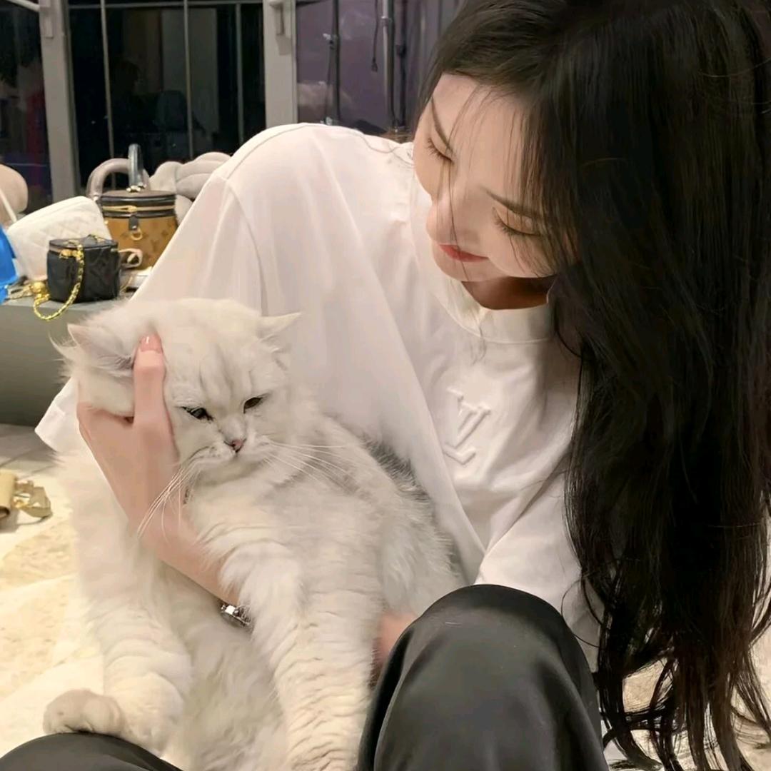 小福猫