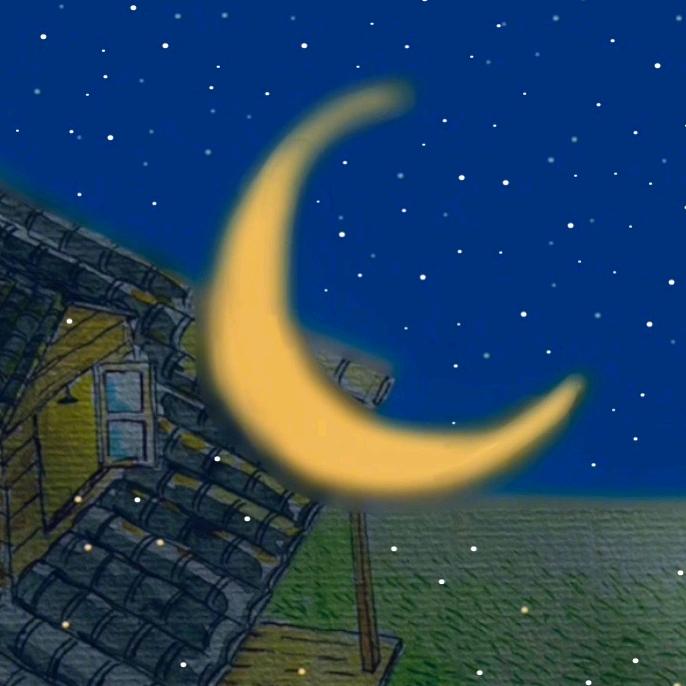 黄色夜猫