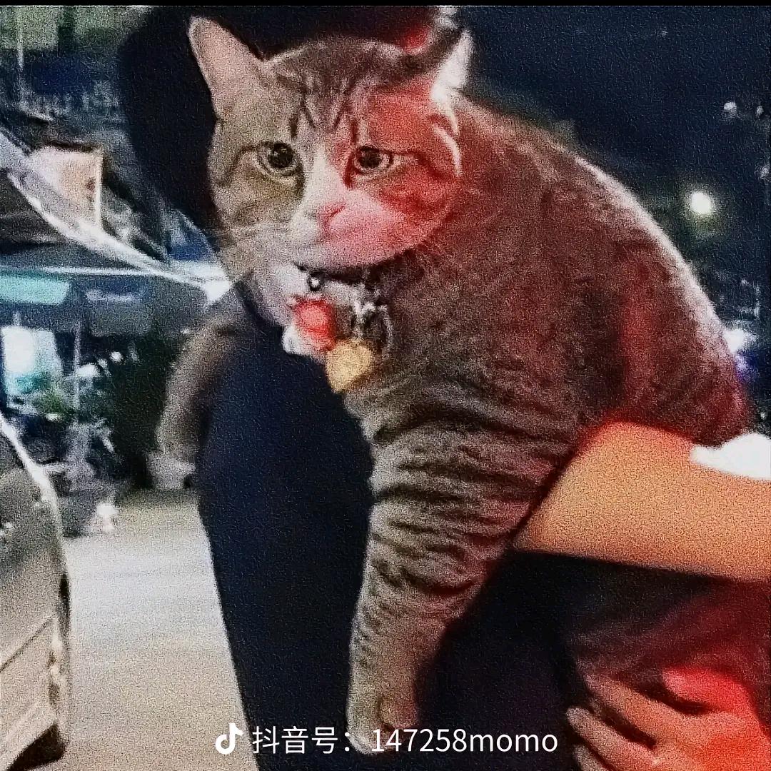 🌈一瓶倒