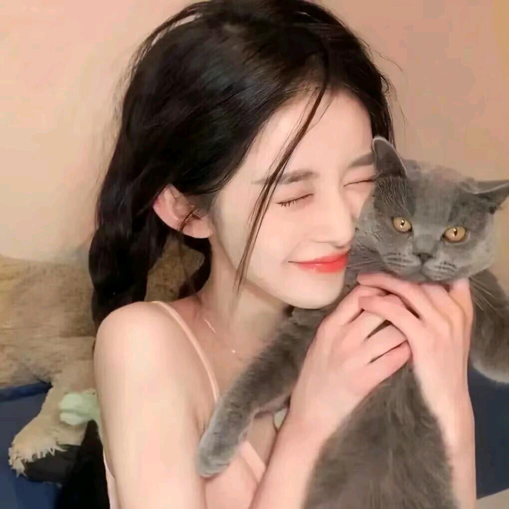 鑫鑫爱