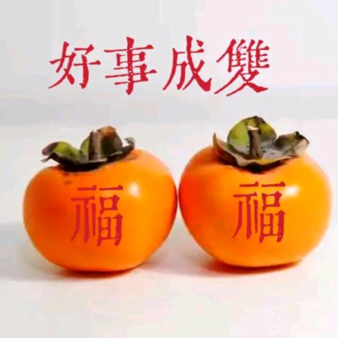好柿朵朵