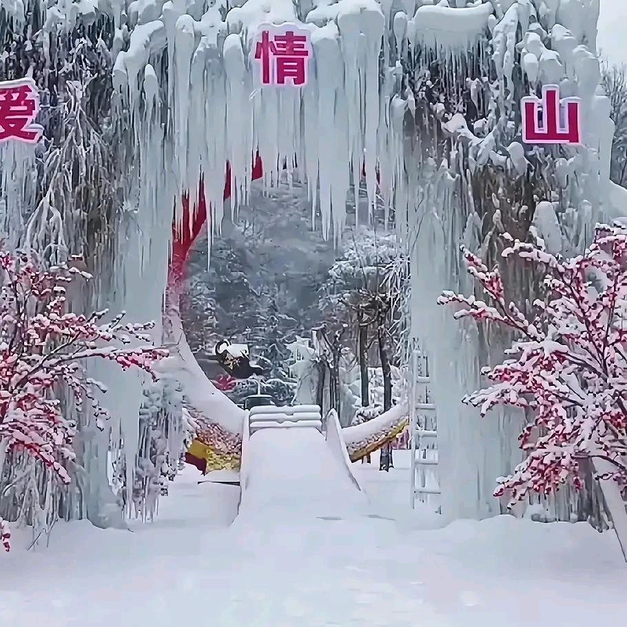 永恒牵伴