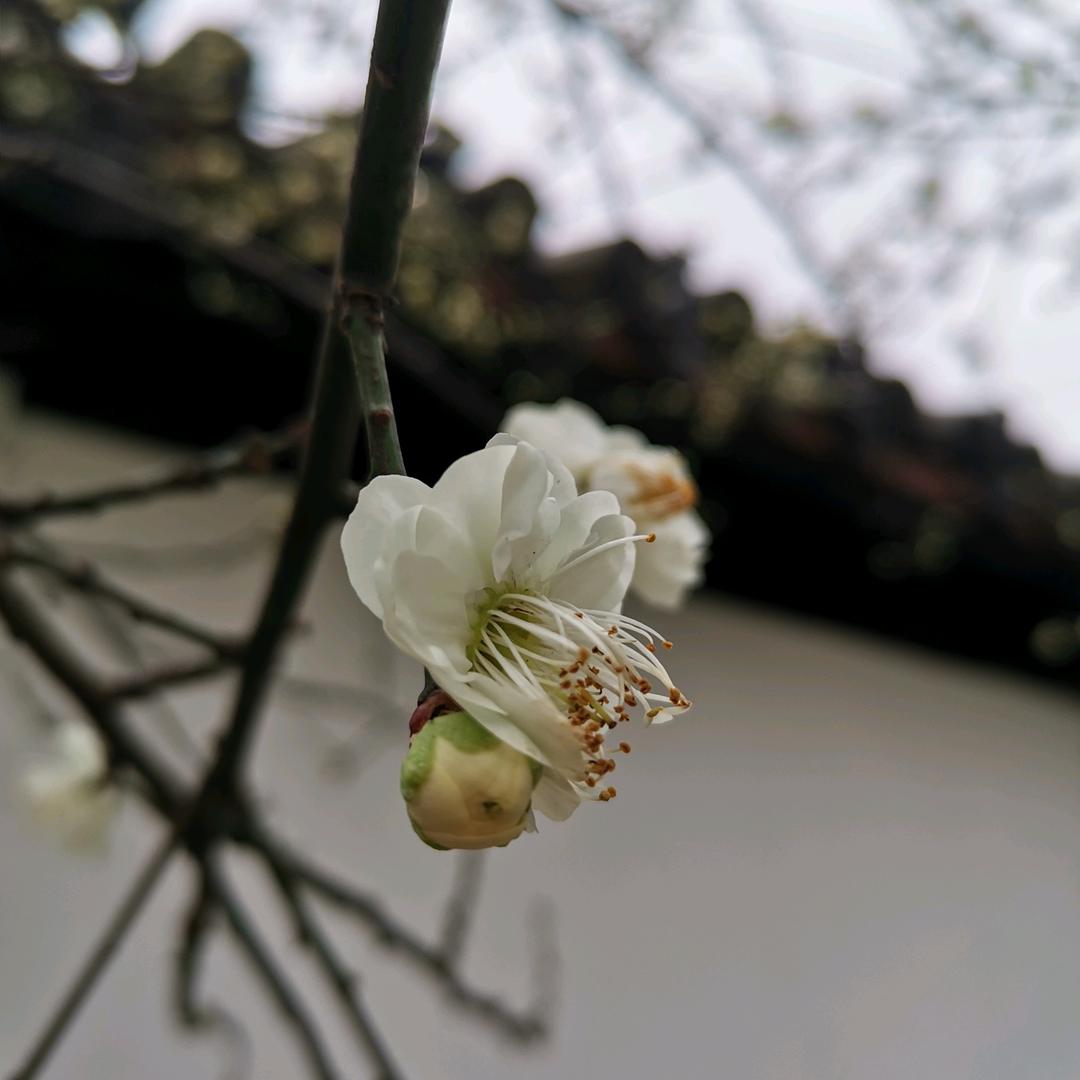 常熟市挺捷缝制设备有限公司