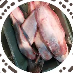 俊安（福州马尾市场冰鲜鱼专业代销）