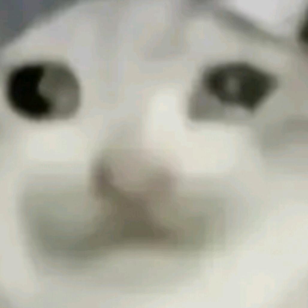 風里_