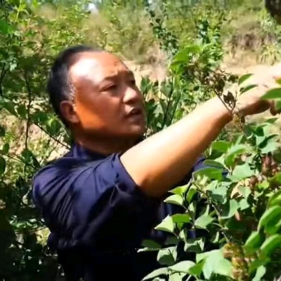 绛县禾益家庭农场