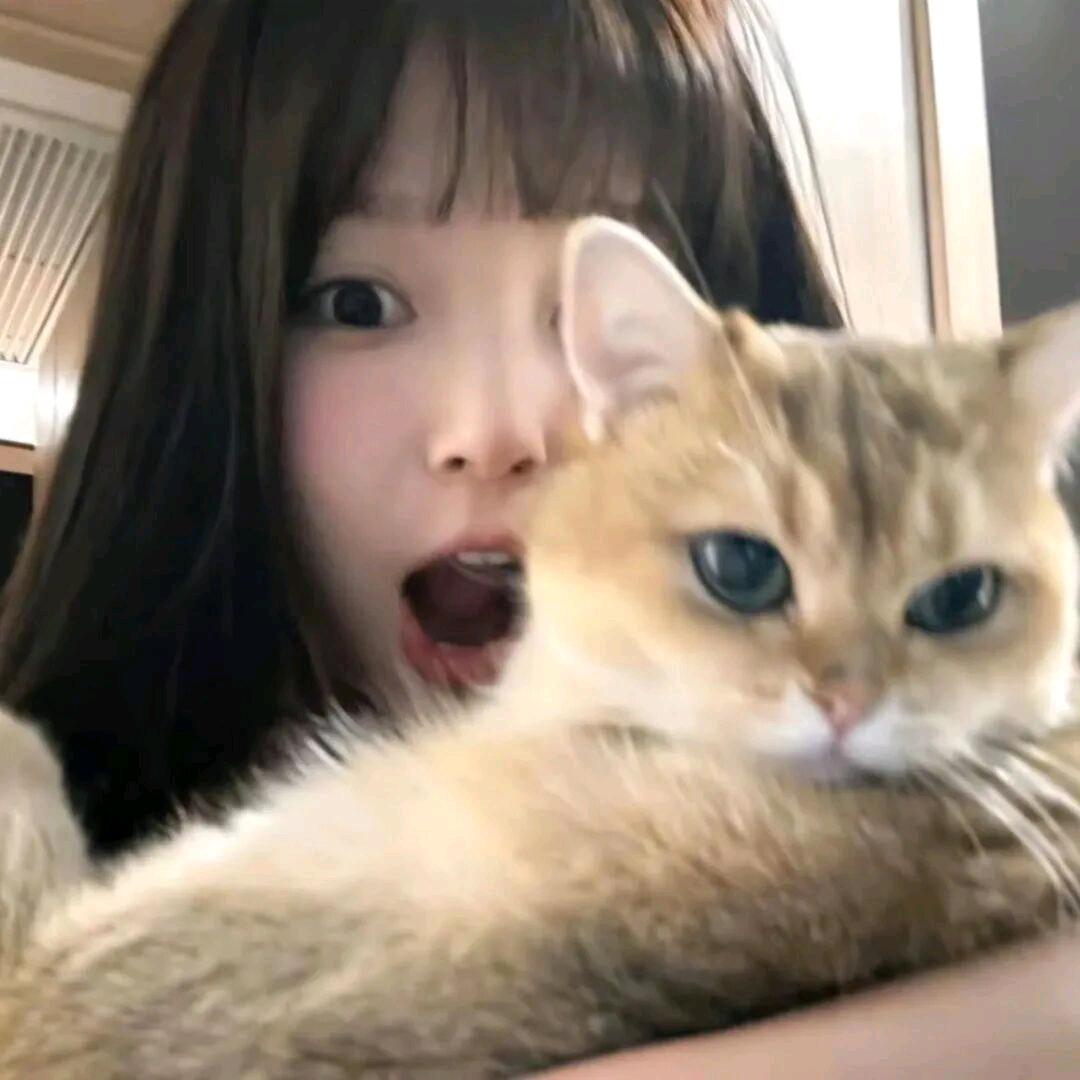 731
