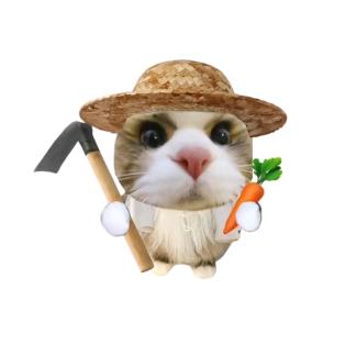 GCS(西青助农版)