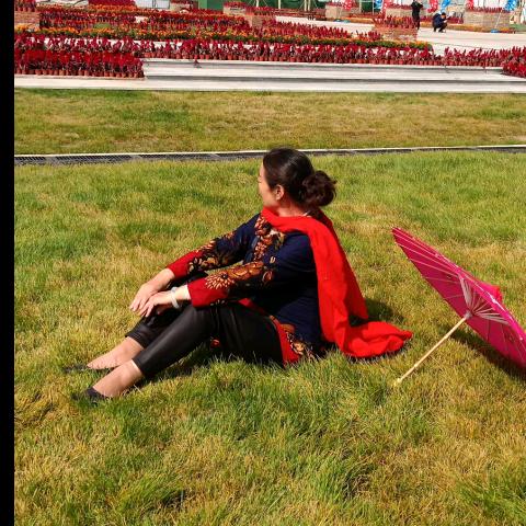 杨柳依依《杨柳依依》