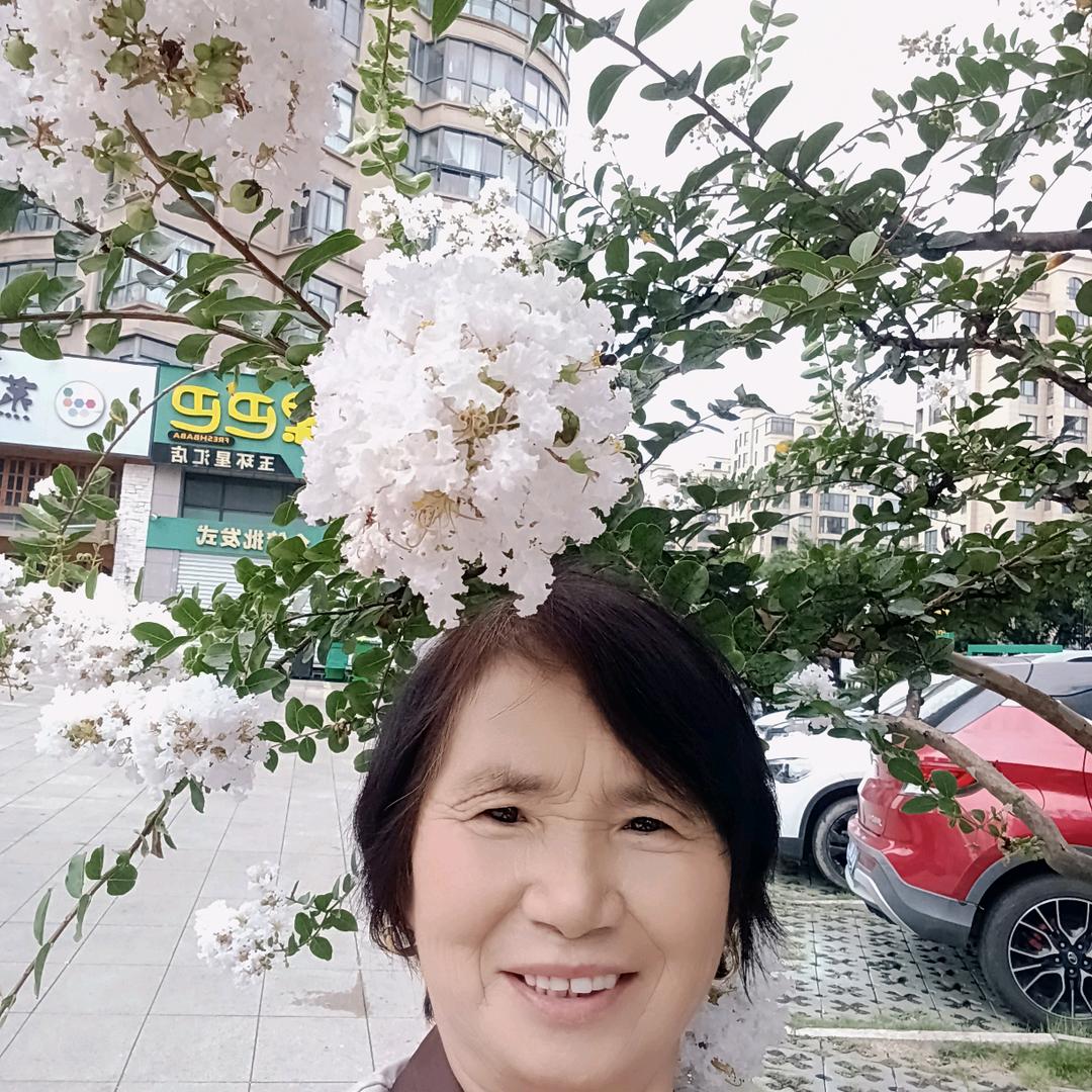 芝兰姐姐小号