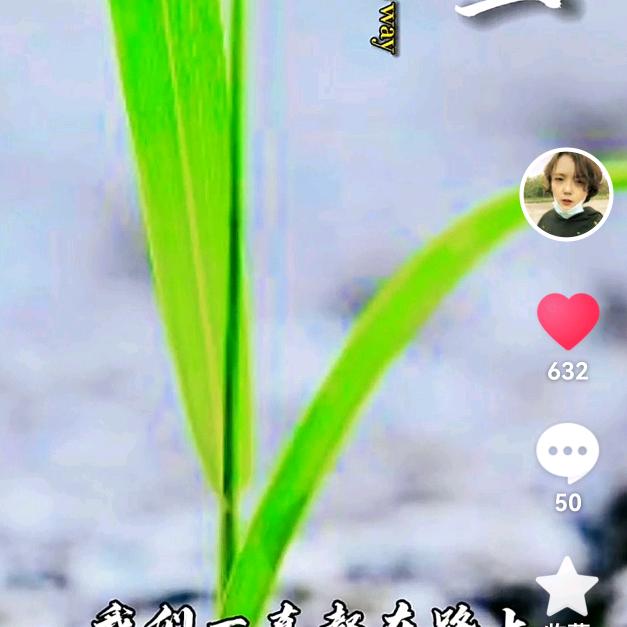 小白（人生路）⚡️