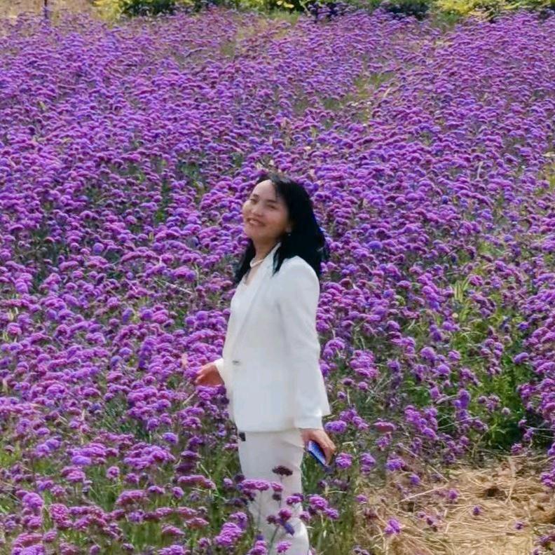 兰州新区花姐探好房