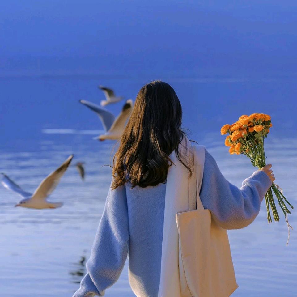 清风明月本有意