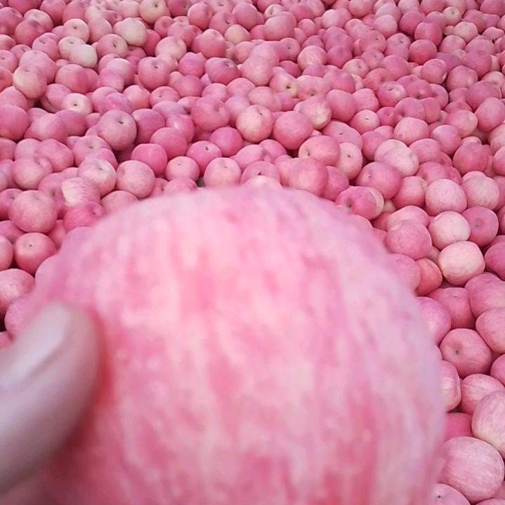 潘哥1023