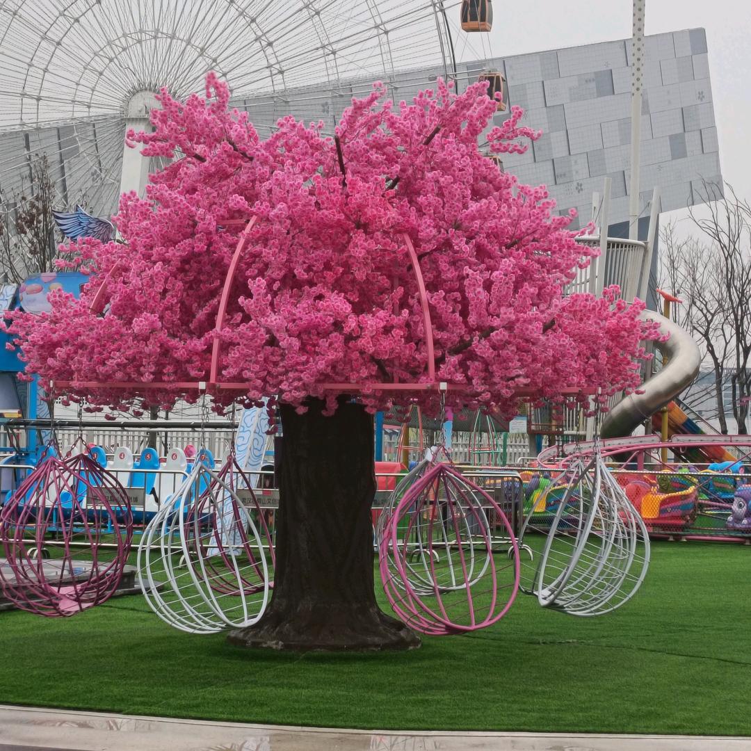 开心果果、开心果