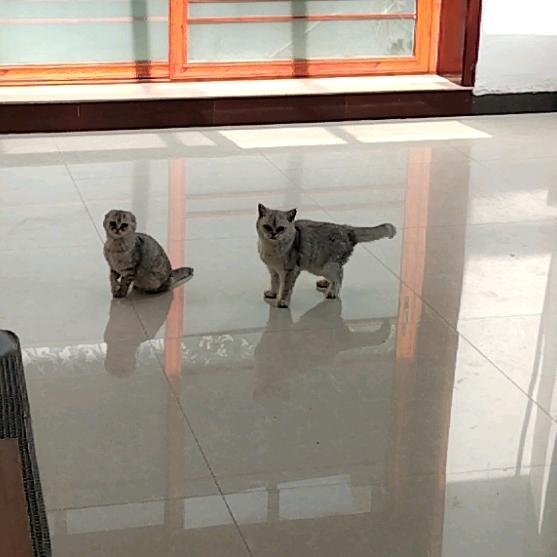 轩缘阁（王门府3）